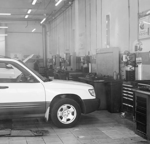 seo services for growth