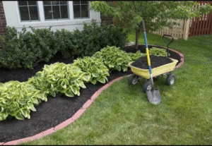 Greener Grass Landscaping: Premier Landscaping Services in Mount Pleasant, South Carolina