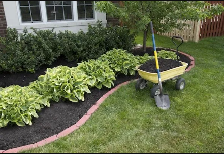 Greener Grass Landscaping: Premier Landscaping Services in Mount Pleasant, South Carolina